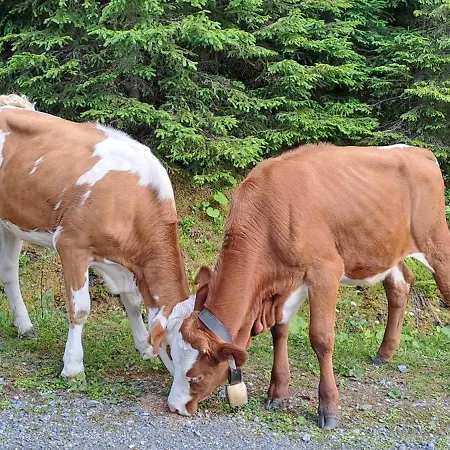 Hartlgut * Бад Хофгаштайн