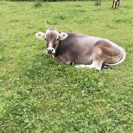 Фермерский дом Hartlgut