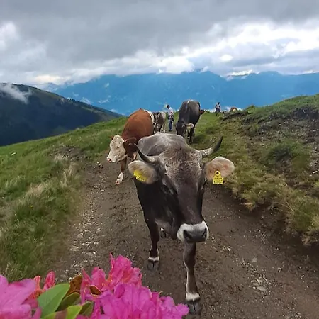 Vakantieboerderij Hartlgut *