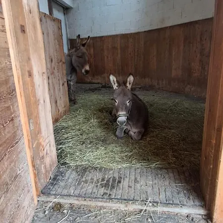 Vakantieboerderij Hartlgut *