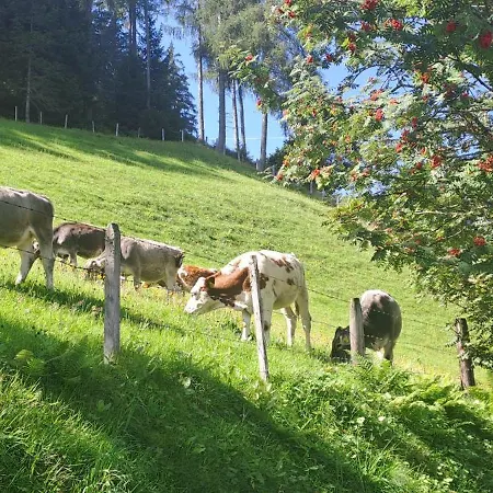 Hartlgut