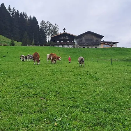 Hartlgut *