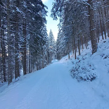 Çiftlik konaklama Hartlgut Bad Hofgastein